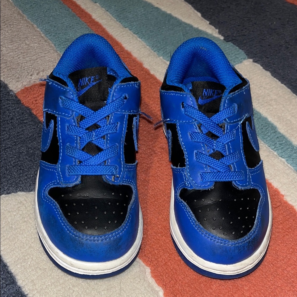Toddler Boy 9c Nike Dunks